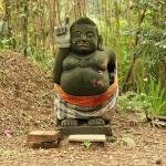semar